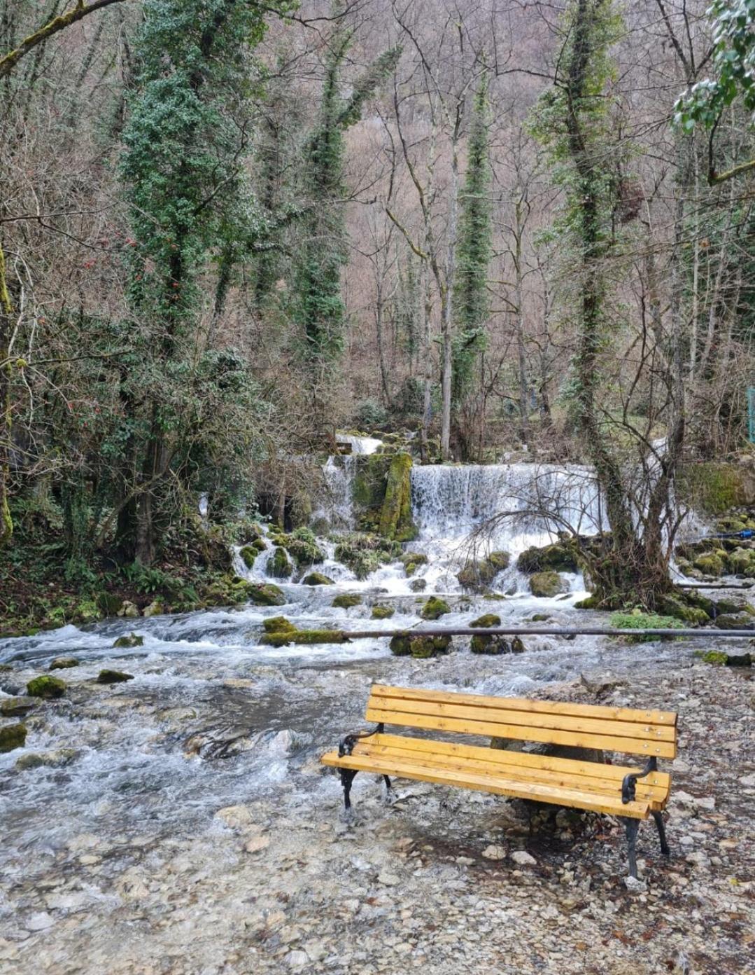 Brvnara Na Obali Reke Drine Villa Beserovina Bagian luar foto