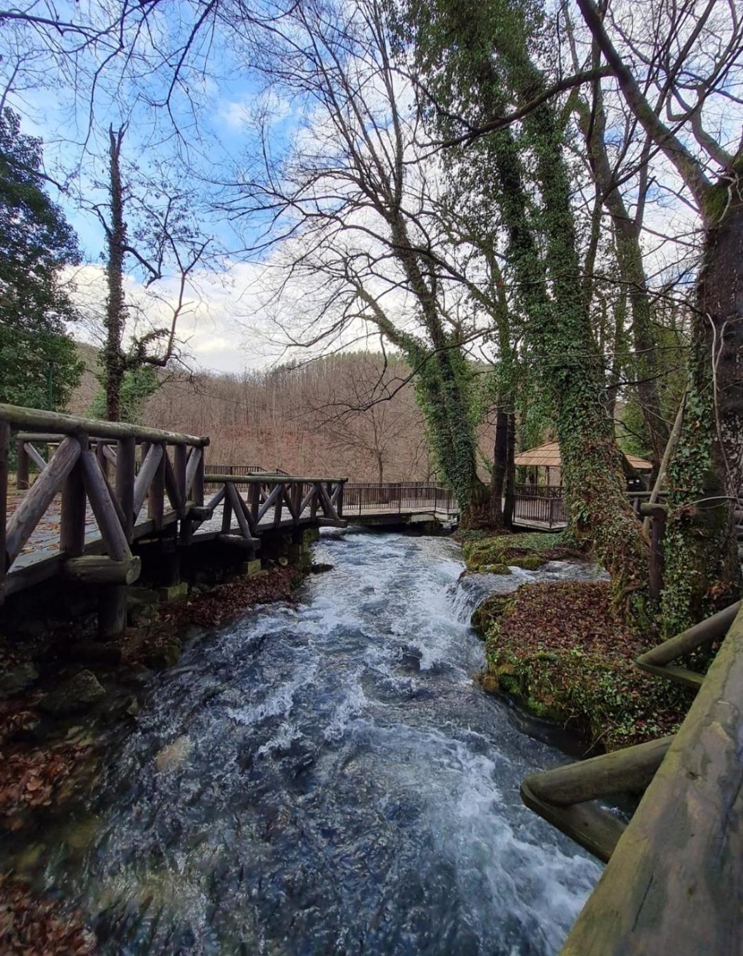 Brvnara Na Obali Reke Drine Villa Beserovina Bagian luar foto