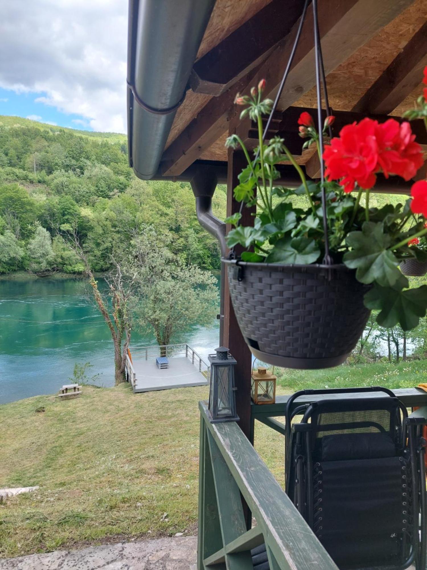 Brvnara Na Obali Reke Drine Villa Beserovina Bagian luar foto