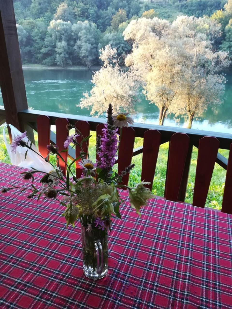 Brvnara Na Obali Reke Drine Villa Beserovina Bagian luar foto
